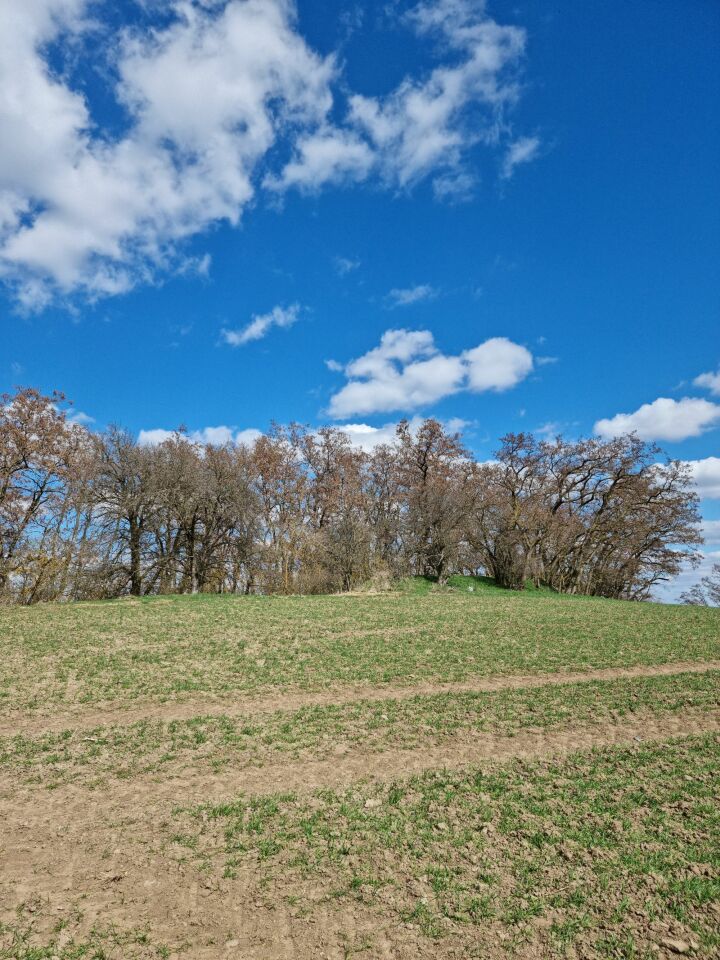 Kalvárka