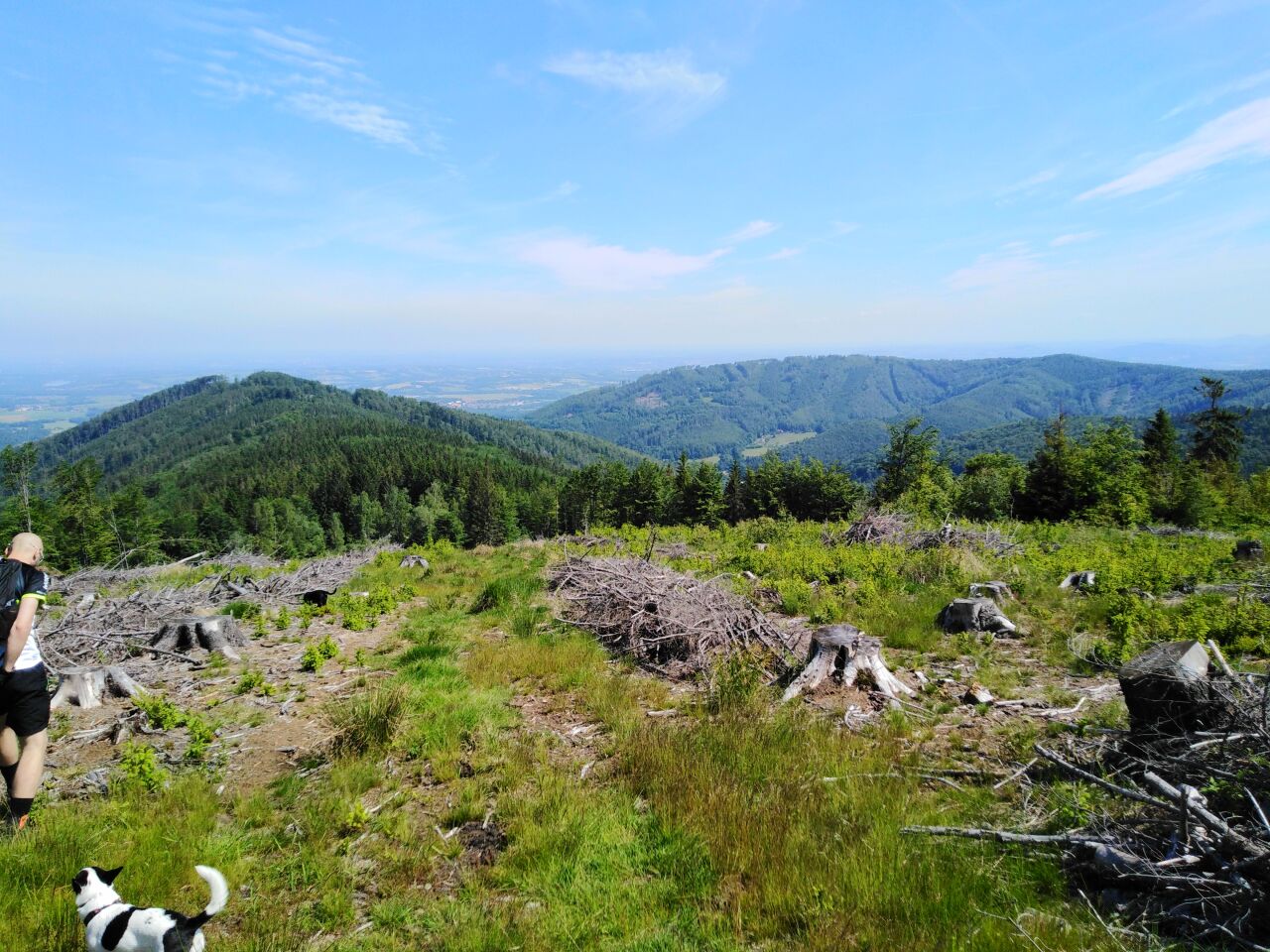 Kotař