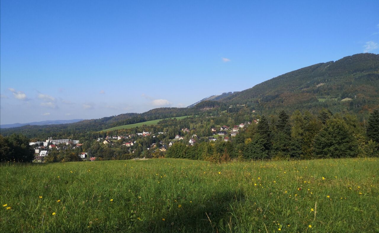 Jiřinka