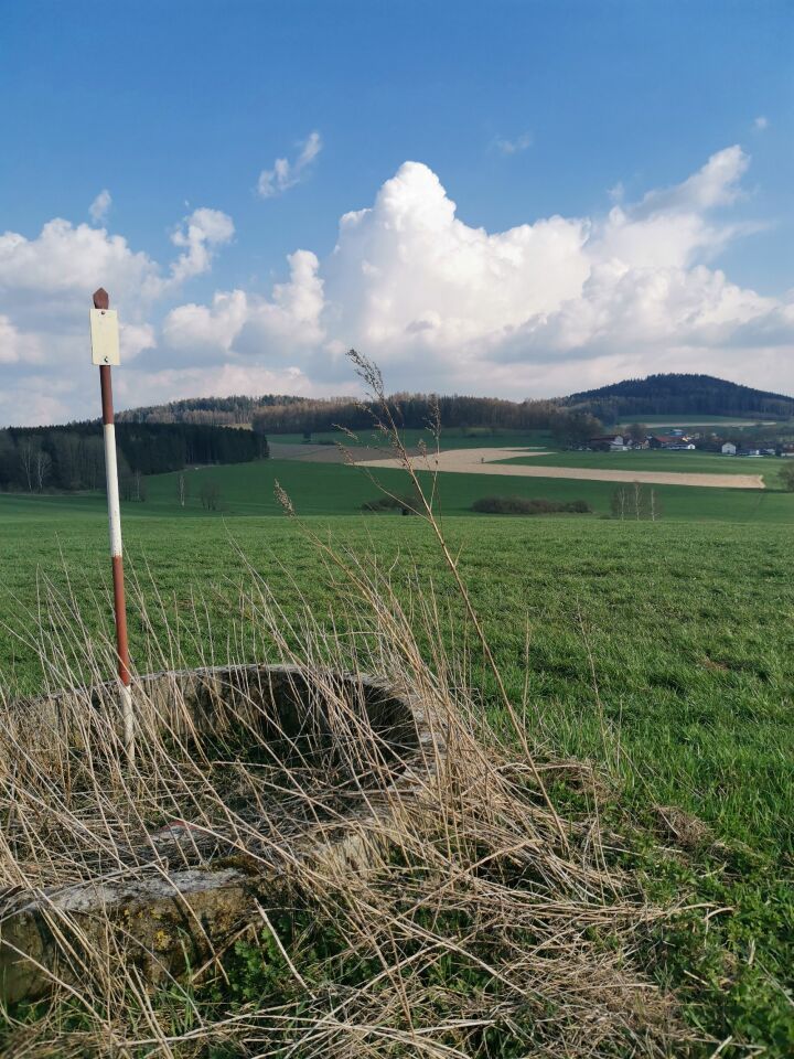 Bažantí vrch