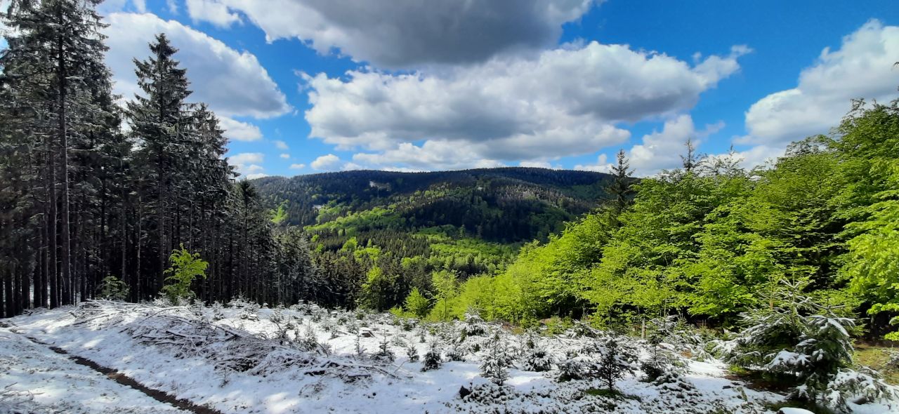 Vápenný (790 m)