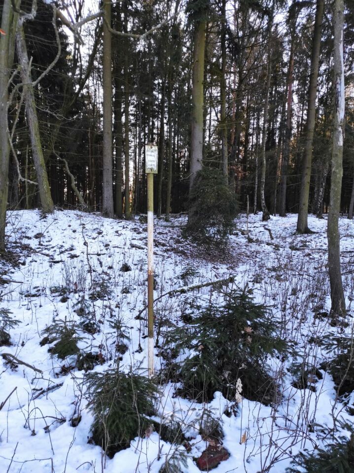 Kozinec