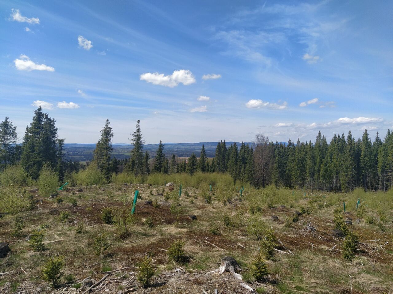 Hřeben