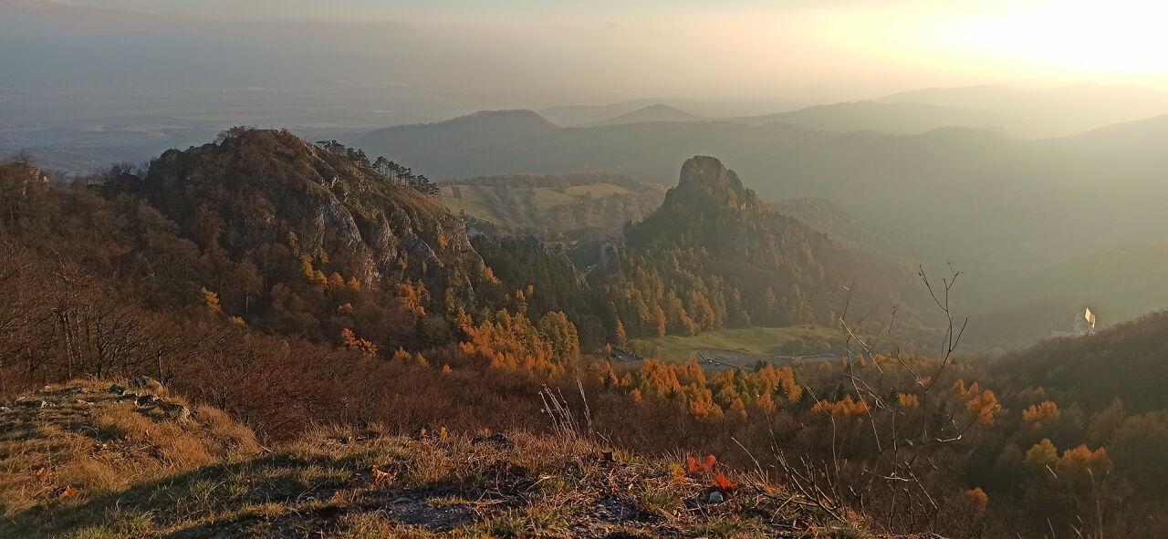 Chmeľová