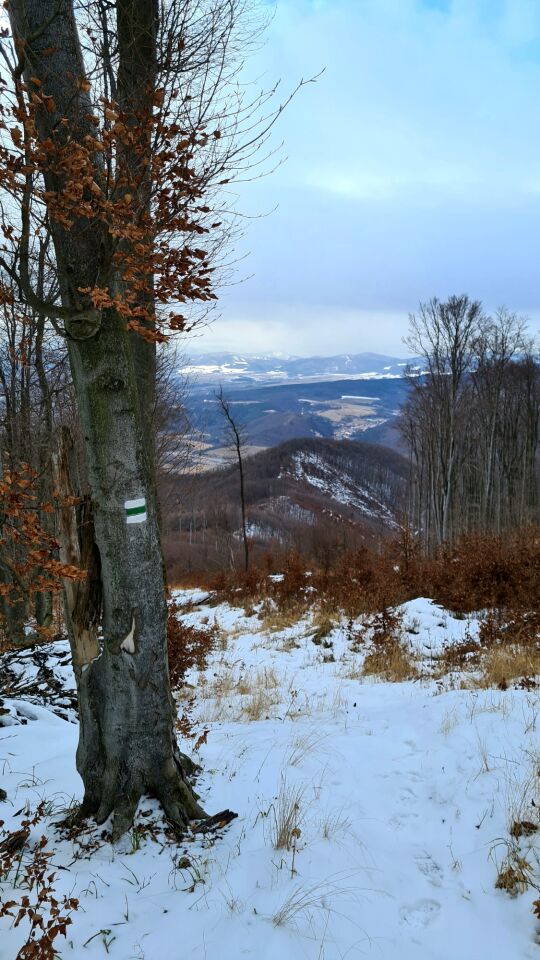 Suť (713&nbsp;m)