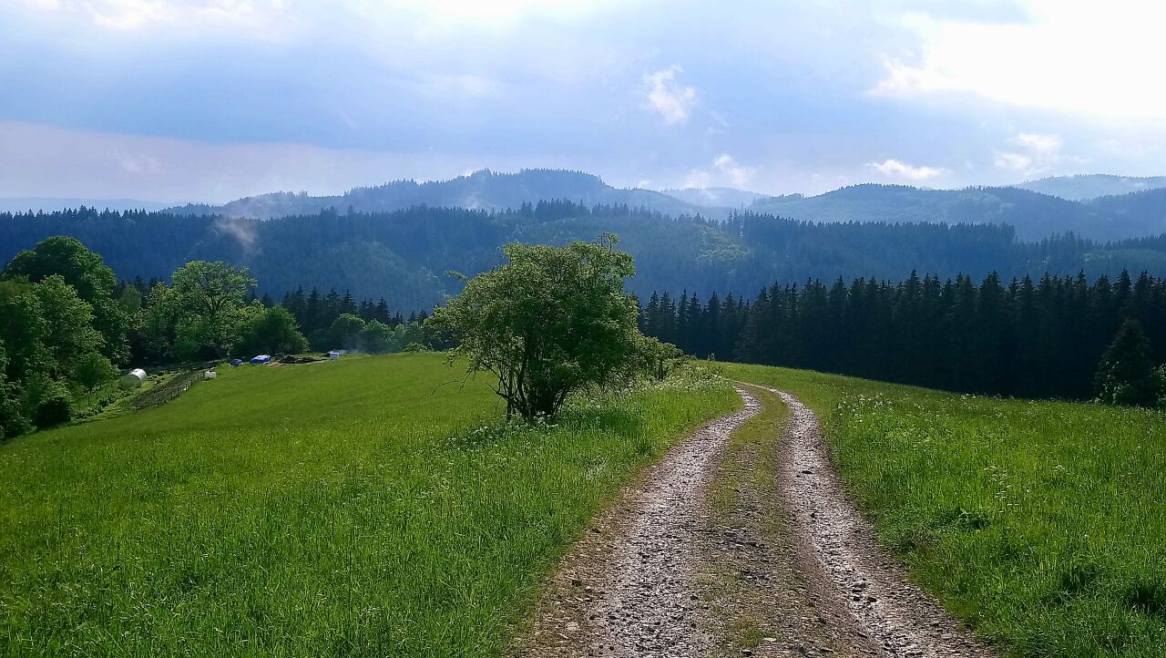 Osloveček (723&nbsp;m)