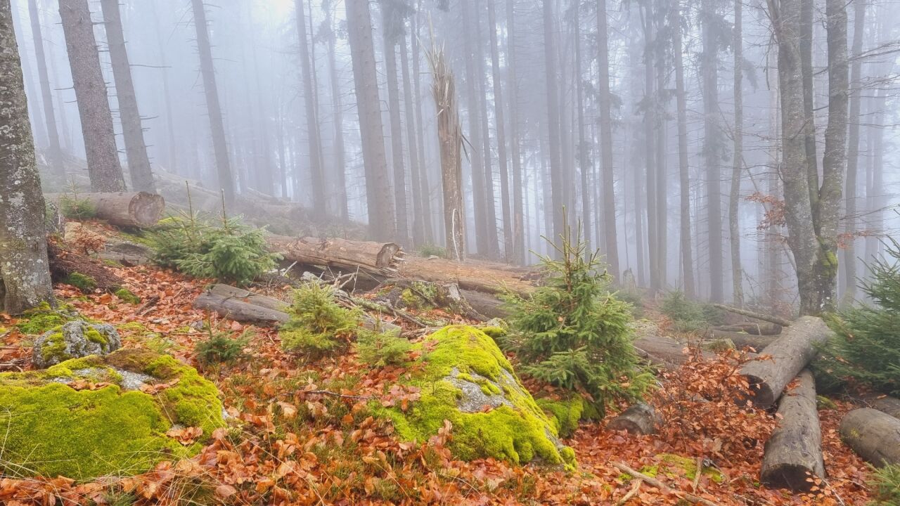 Polecký vrch