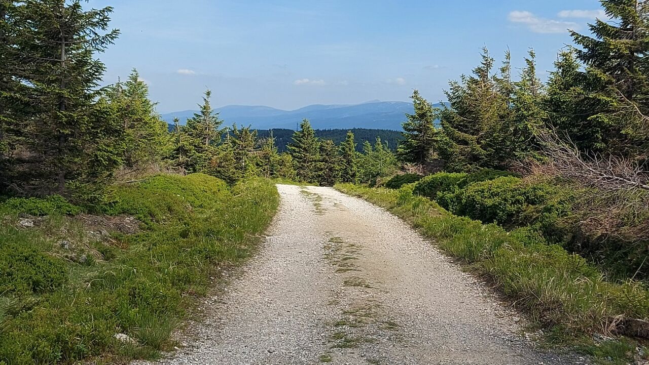Przednia Kopa