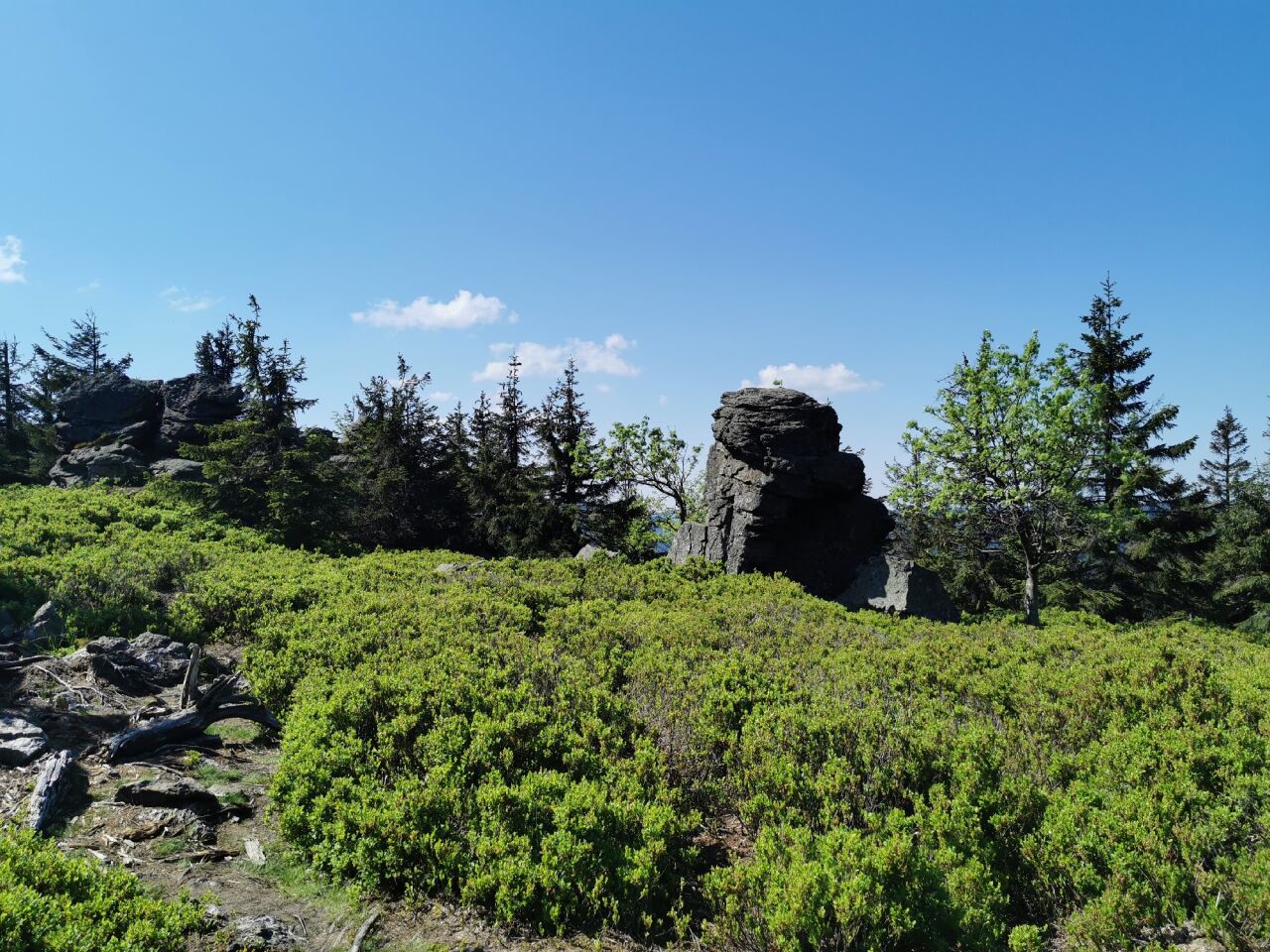 Zwalisko