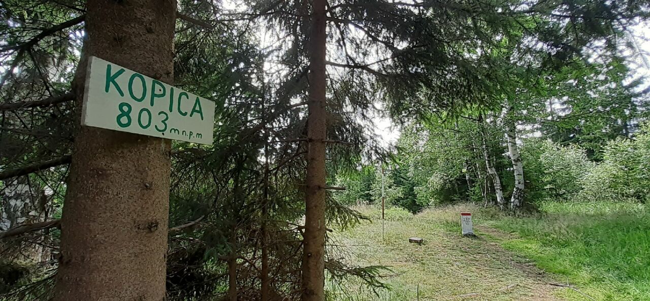 Kopica