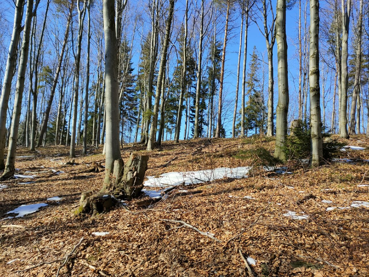 Czoło (775&nbsp;m)