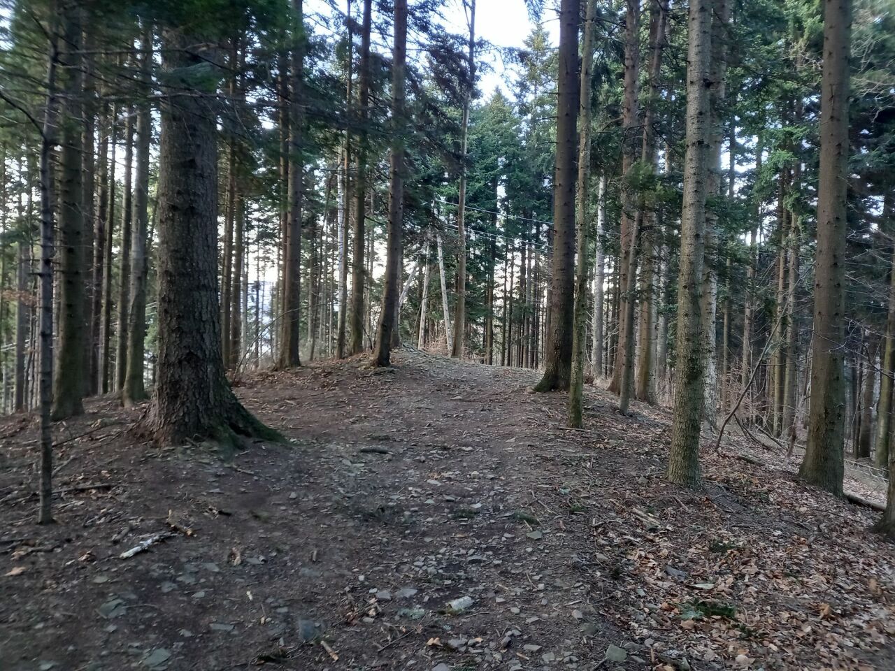 Kozubnik (551&nbsp;m)
