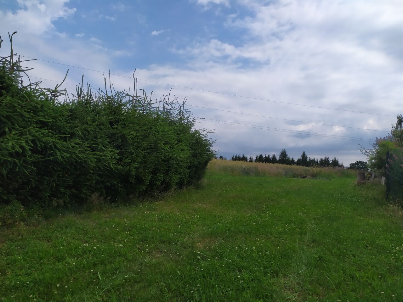 Dvoják