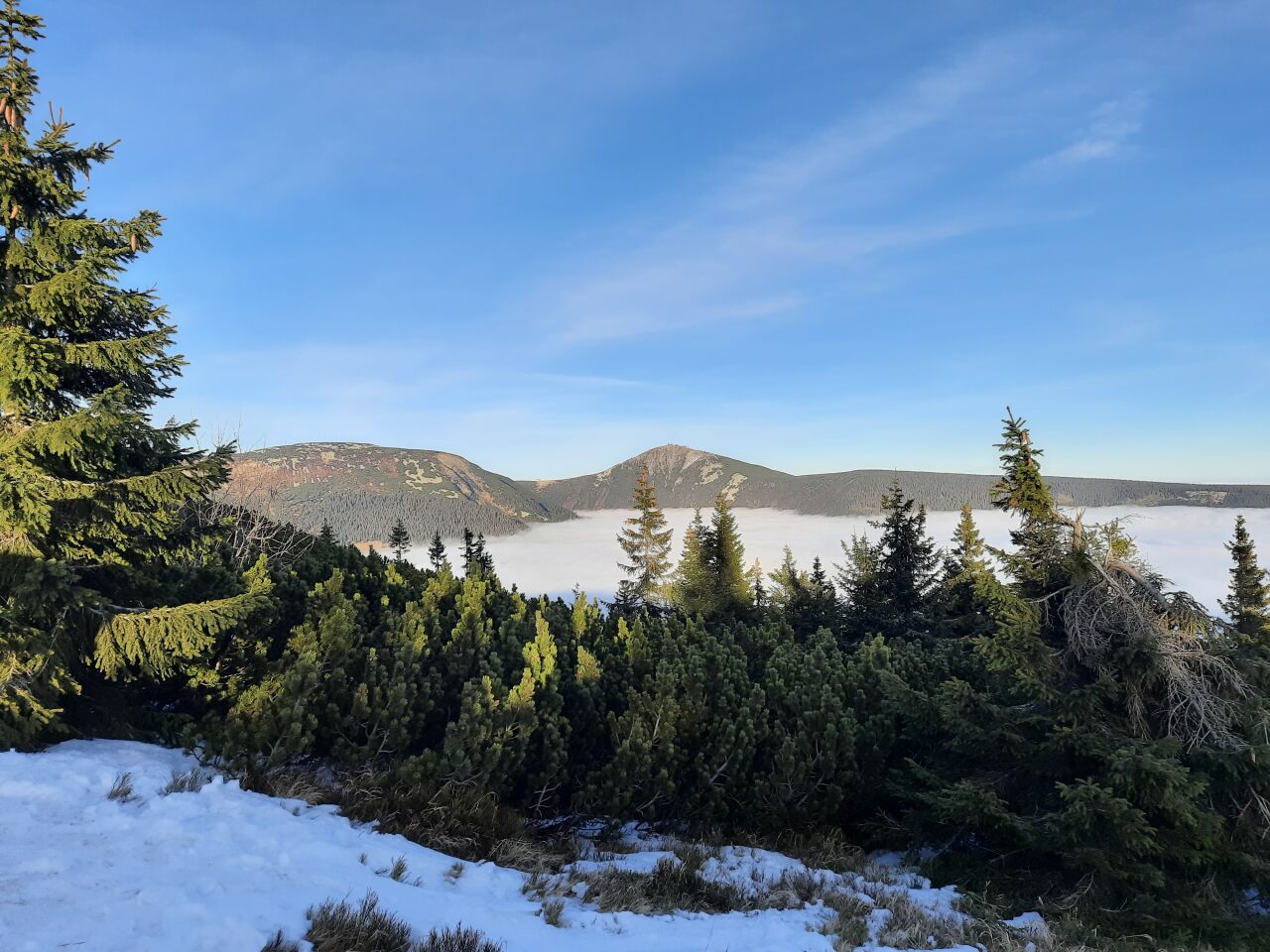 Liščí hora (1363&nbsp;m)