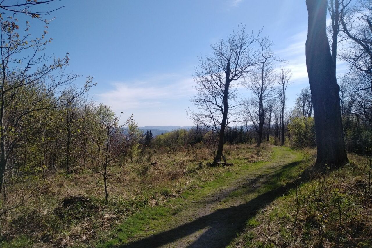Oprchlice