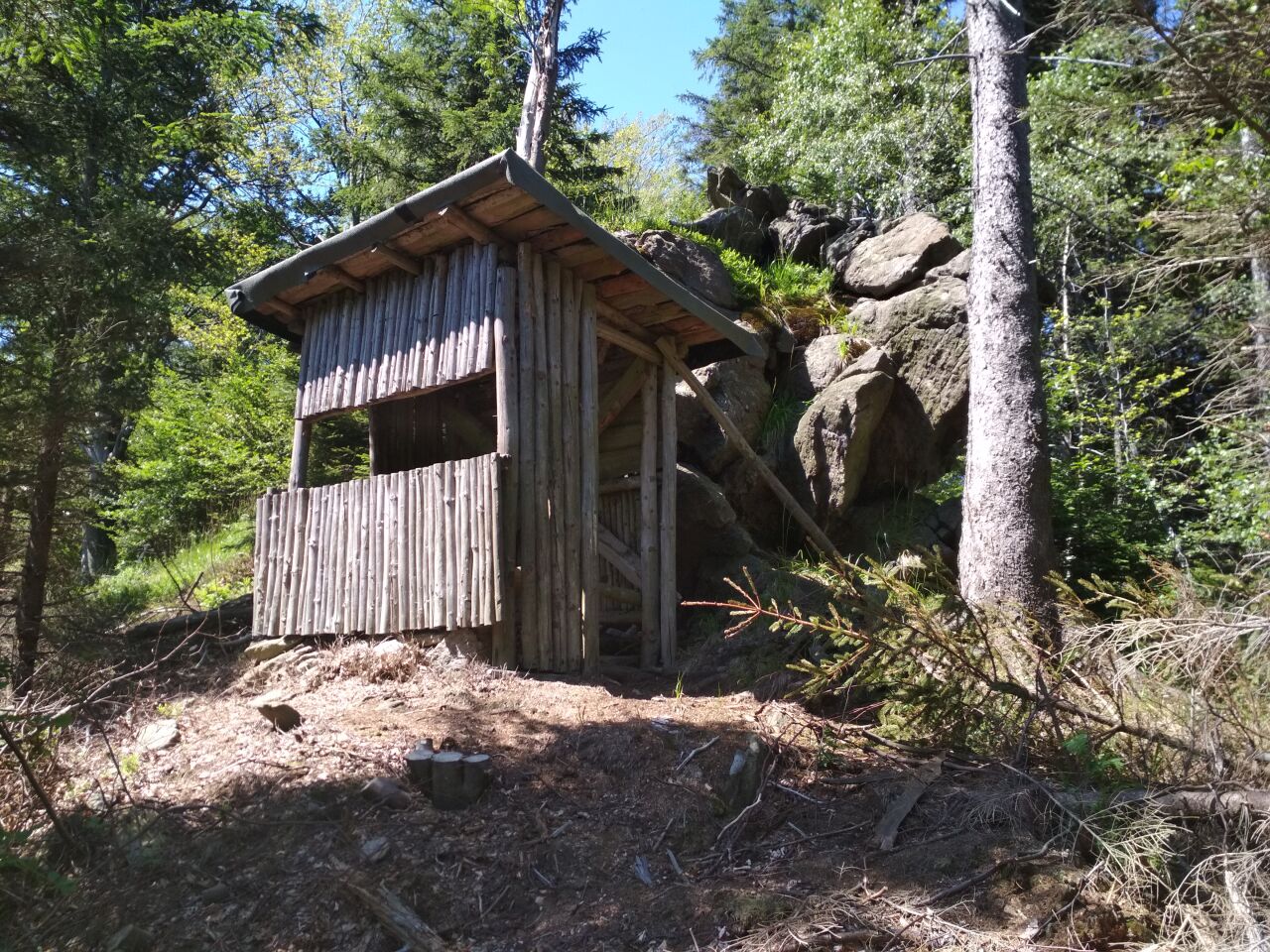 Čepel