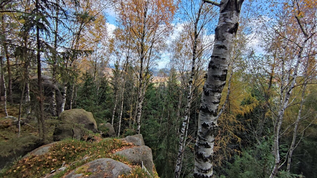 Hejda
