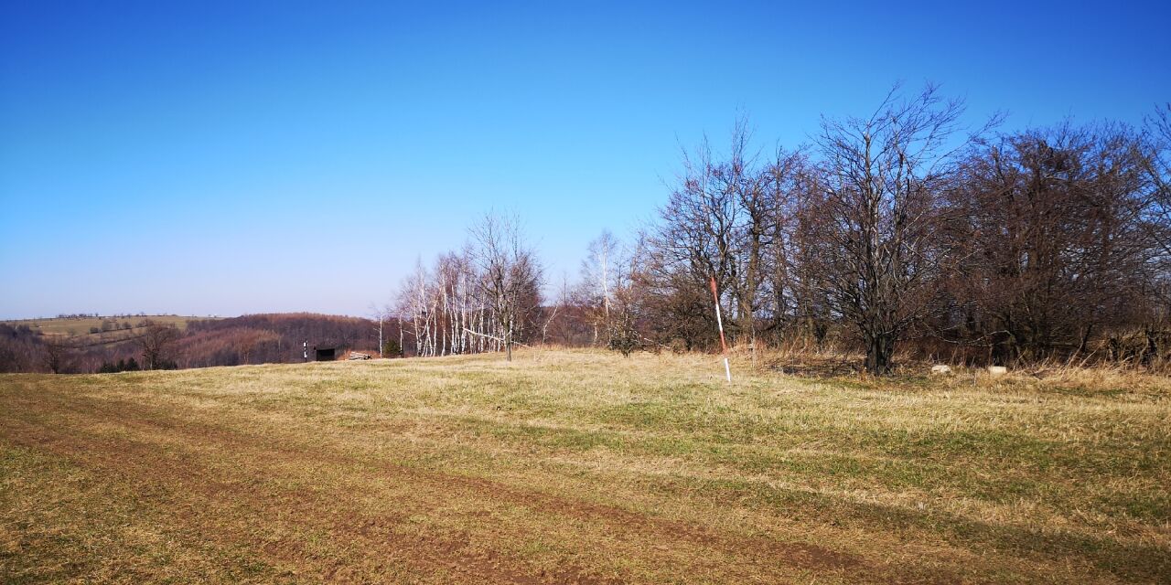 Mordovna