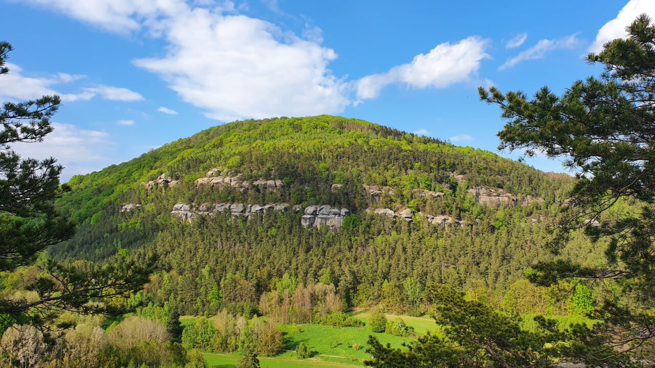 Vlhošť (614&nbsp;m)