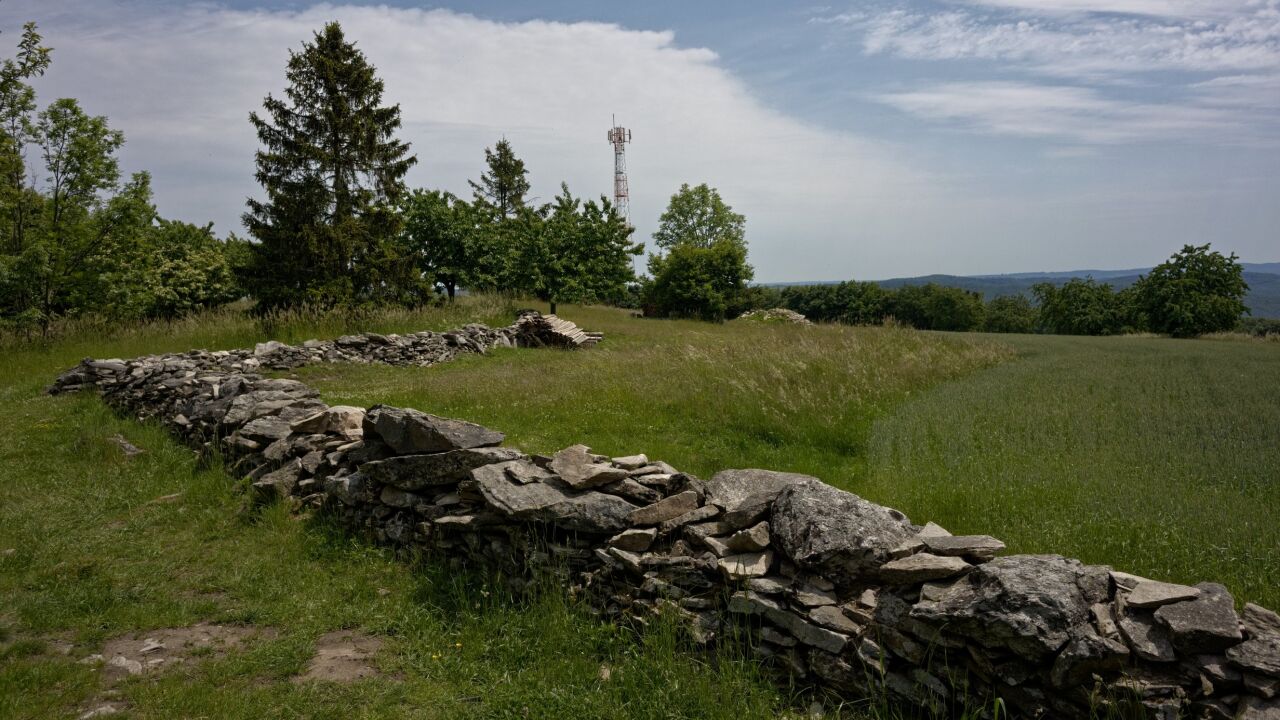 Veselský chlum