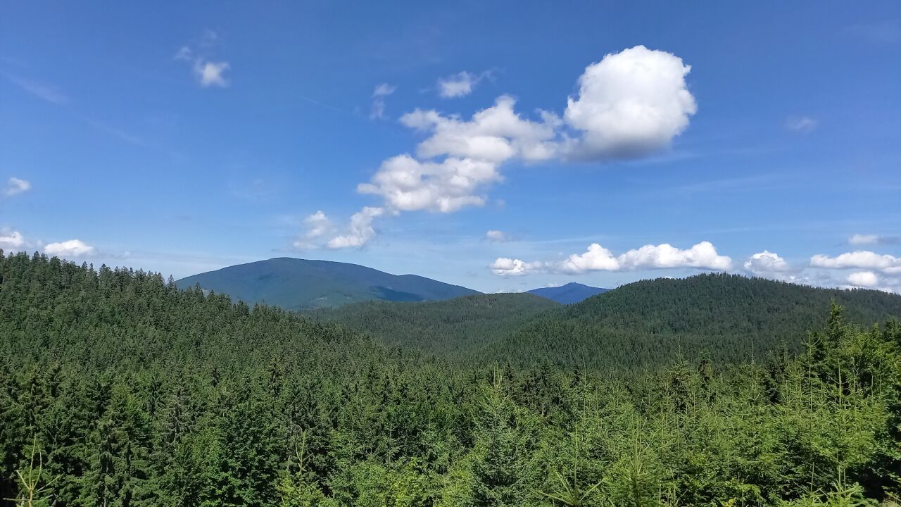 Kladnatá