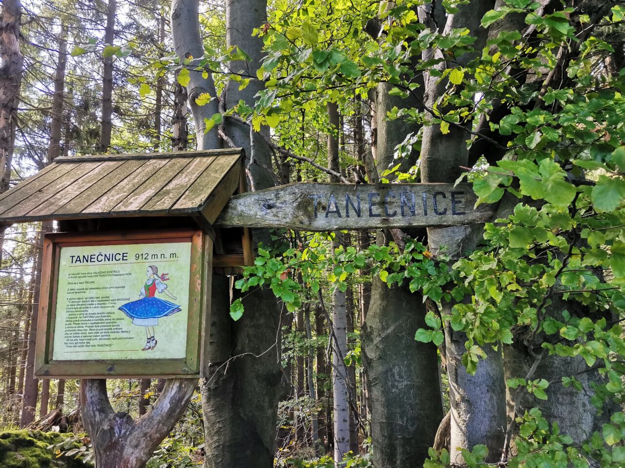 Tanečnice