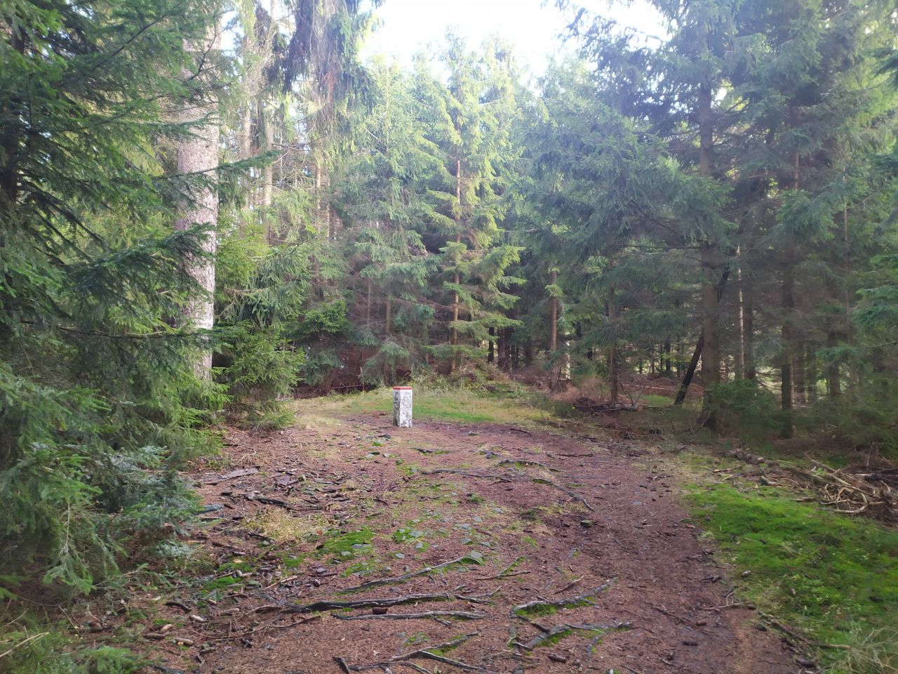 Lukavice