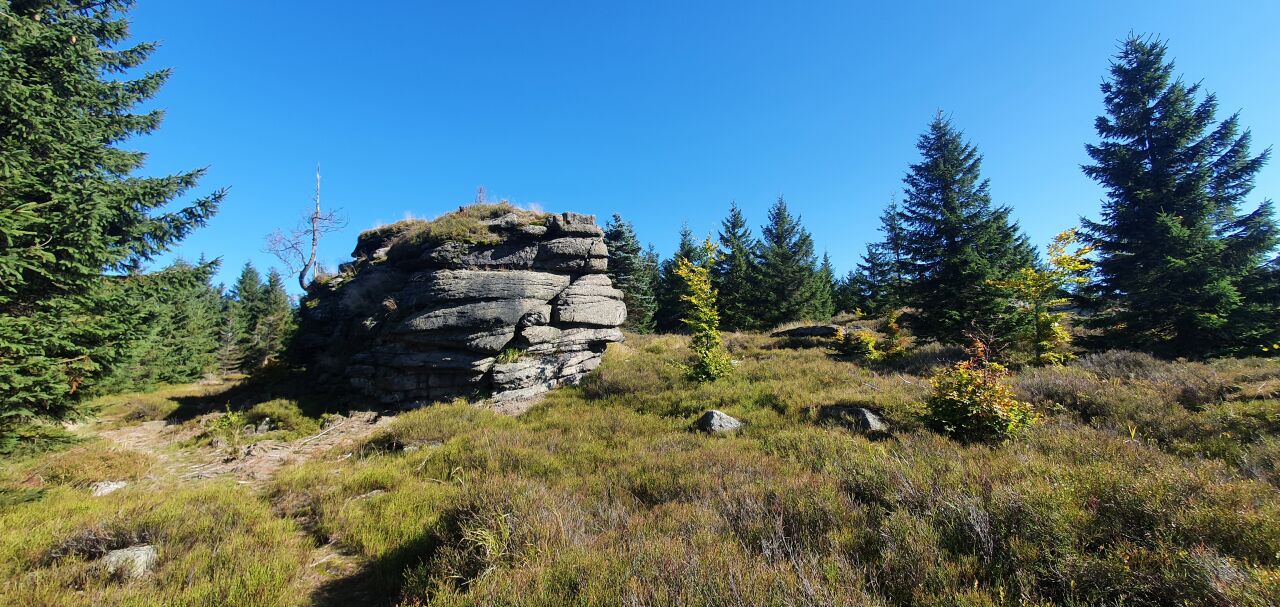 Brdo (876&nbsp;m)